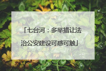 七台河：多举措让法治公安建设可感可触
