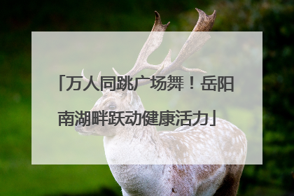 万人同跳广场舞！岳阳南湖畔跃动健康活力