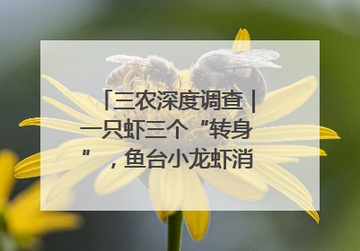三农深度调查｜一只虾三个“转身”，鱼台小龙虾消费季升级