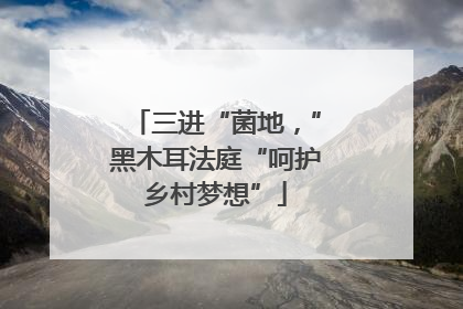 三进“菌地，”黑木耳法庭“呵护乡村梦想”