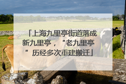上海九里亭街道落成新九里亭，“老九里亭”历经多次重建搬迁