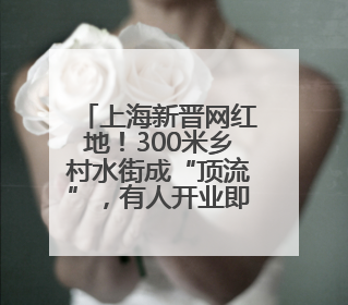 上海新晋网红地！300米乡村水街成“顶流”，有人开业即火爆