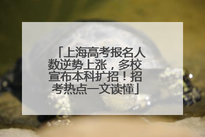 上海高考报名人数逆势上涨，多校宣布本科扩招！招考热点一文读懂