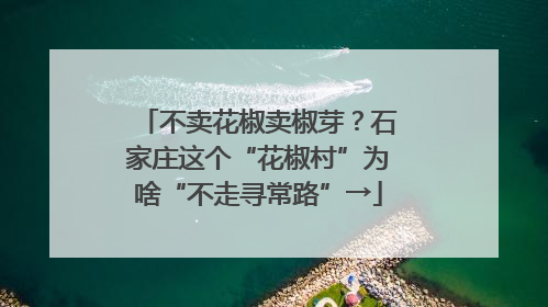 不卖花椒卖椒芽？石家庄这个“花椒村”为啥“不走寻常路”→
