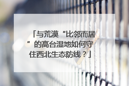 与荒漠“比邻而居”的高台湿地如何守住西北生态防线？