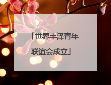 世界丰泽青年联谊会成立