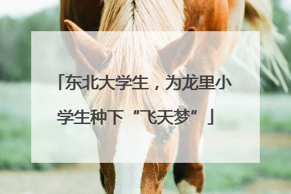 东北大学生，为龙里小学生种下“飞天梦”