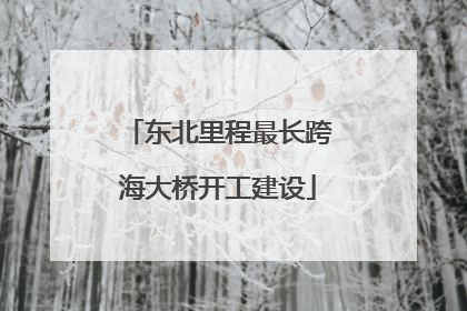 东北里程最长跨海大桥开工建设