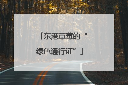 东港草莓的“绿色通行证”