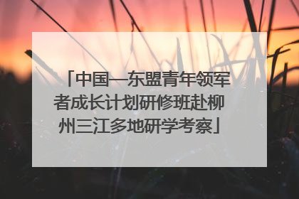 中国—东盟青年领军者成长计划研修班赴柳州三江多地研学考察