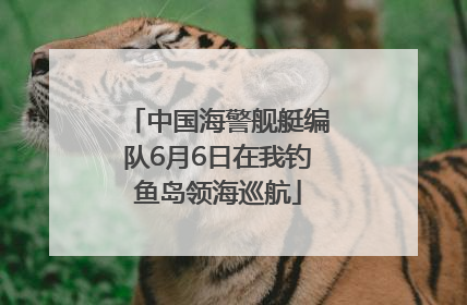 中国海警舰艇编队6月6日在我钓鱼岛领海巡航