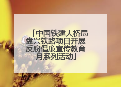 中国铁建大桥局盘兴铁路项目开展反腐倡廉宣传教育月系列活动