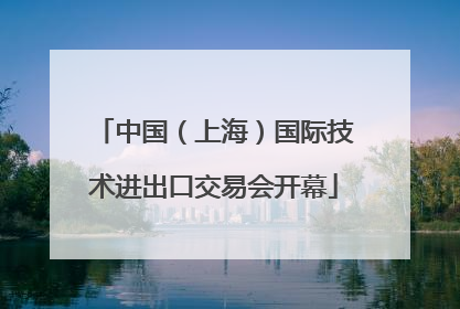 中国（上海）国际技术进出口交易会开幕