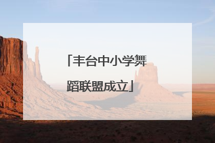 丰台中小学舞蹈联盟成立