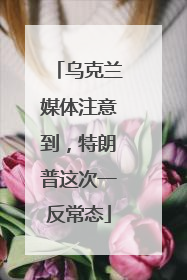 乌克兰媒体注意到，特朗普这次一反常态