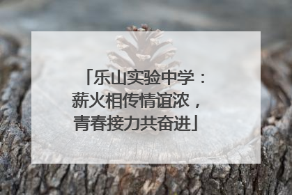 乐山实验中学：薪火相传情谊浓，青春接力共奋进