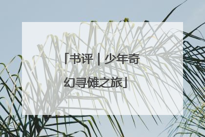 书评｜少年奇幻寻傩之旅