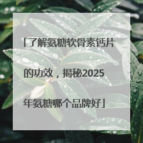了解氨糖软骨素钙片的功效，揭秘2025年氨糖哪个品牌好