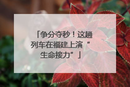 争分夺秒！这趟列车在福建上演“生命接力”