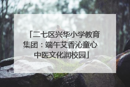 二七区兴华小学教育集团：端午艾香沁童心 中医文化润校园