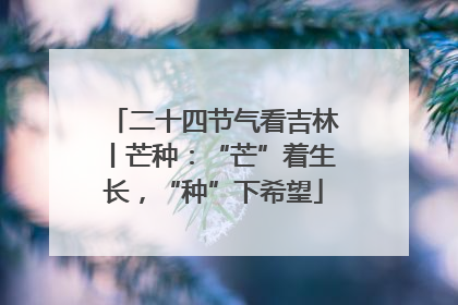 二十四节气看吉林丨芒种：“芒”着生长，“种”下希望