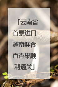 云南省首票进口越南鲜食百香果顺利通关