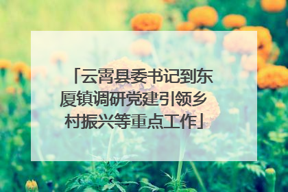 云霄县委书记到东厦镇调研党建引领乡村振兴等重点工作