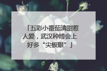 五彩小番茄清甜惹人爱，武汉种博会上好多“尖板眼”