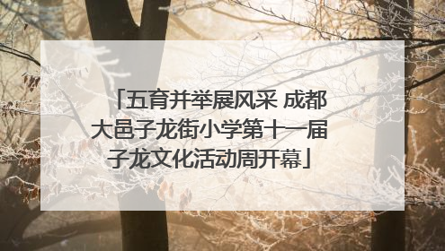 五育并举展风采 成都大邑子龙街小学第十一届子龙文化活动周开幕