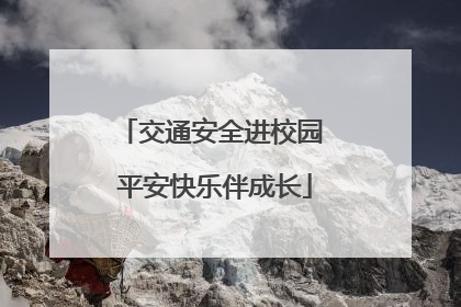 交通安全进校园 平安快乐伴成长