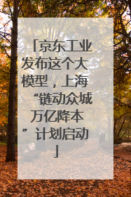 京东工业发布这个大模型，上海“链动众城 万亿降本”计划启动