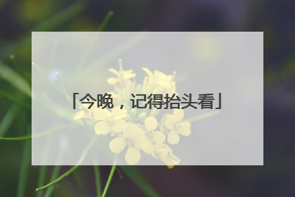 今晚，记得抬头看