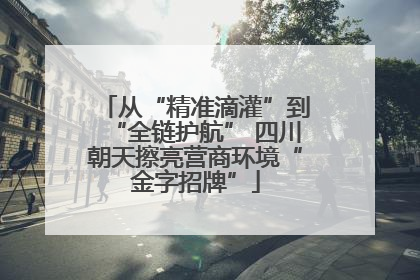 从“精准滴灌”到“全链护航” 四川朝天擦亮营商环境“金字招牌”