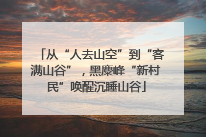 从“人去山空”到“客满山谷”，黑麋峰“新村民”唤醒沉睡山谷
