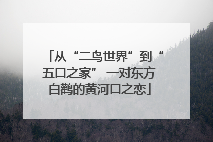 从“二鸟世界”到“五口之家” 一对东方白鹳的黄河口之恋