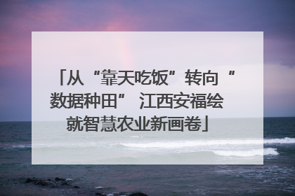 从“靠天吃饭”转向“数据种田” 江西安福绘就智慧农业新画卷
