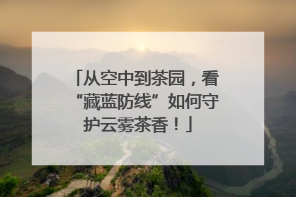从空中到茶园，看“藏蓝防线”如何守护云雾茶香！
