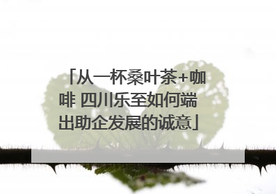 从一杯桑叶茶+咖啡 四川乐至如何端出助企发展的诚意