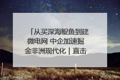从买深海鳀鱼到建微电网 中企加速掘金非洲现代化｜直击中非经贸博览会