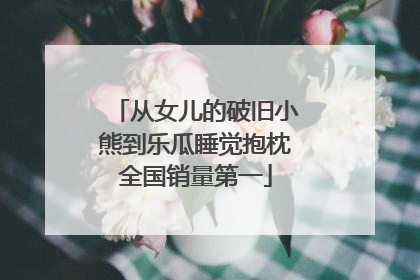 从女儿的破旧小熊到乐瓜睡觉抱枕全国销量第一