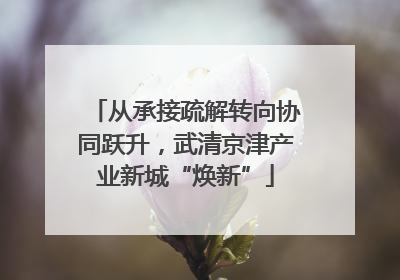 从承接疏解转向协同跃升，武清京津产业新城“焕新”
