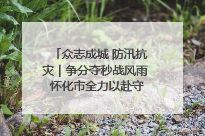 众志成城 防汛抗灾｜争分夺秒战风雨 怀化市全力以赴守护人民群众安全