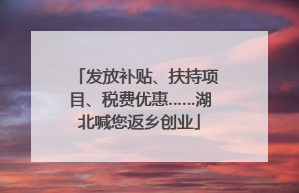 发放补贴、扶持项目、税费优惠……湖北喊您返乡创业