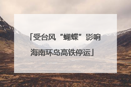 受台风“蝴蝶”影响 海南环岛高铁停运