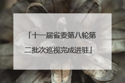 十一届省委第八轮第二批次巡视完成进驻