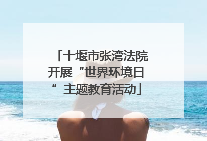 十堰市张湾法院开展“世界环境日”主题教育活动