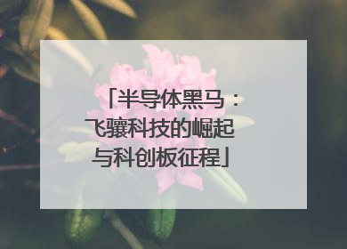 半导体黑马：飞骧科技的崛起与科创板征程