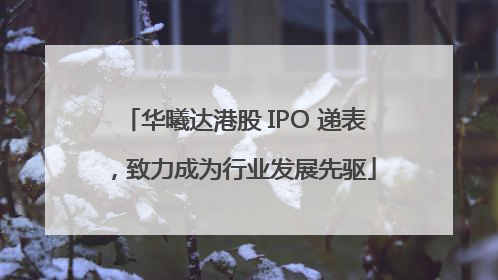 华曦达港股 IPO 递表，致力成为行业发展先驱