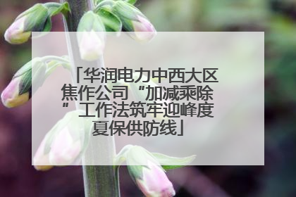 华润电力中西大区焦作公司“加减乘除”工作法筑牢迎峰度夏保供防线