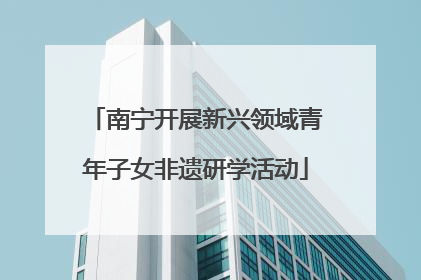 南宁开展新兴领域青年子女非遗研学活动